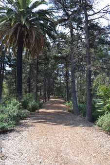 Enlarge photo 18