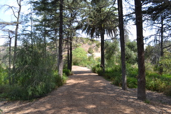 Enlarge photo 20