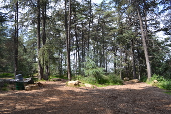 Enlarge photo 22