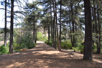 Enlarge photo 23