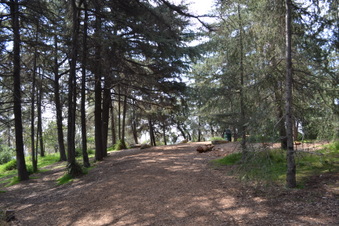 Enlarge photo 24