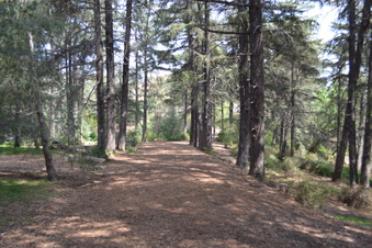 Enlarge photo 25