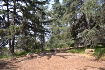 Enlarge photo 26