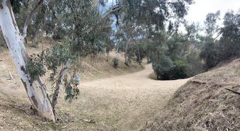 Enlarge photo 6