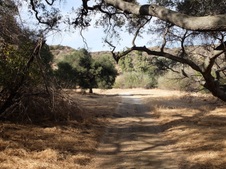 Enlarge photo 14