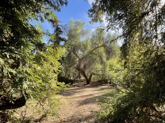 Enlarge photo 8