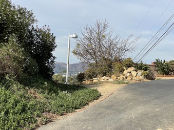Enlarge photo 49