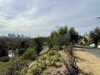 Enlarge photo 51