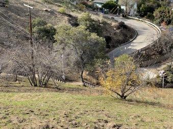 Enlarge photo 7