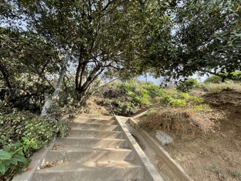Enlarge photo 42
