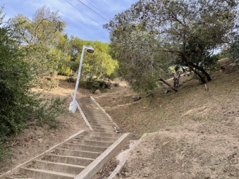Enlarge photo 31