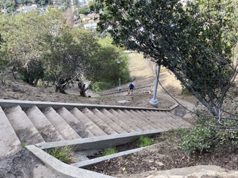 Enlarge photo 37