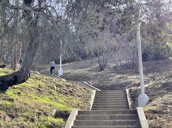 Enlarge photo 11