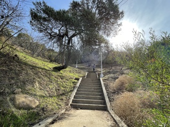 Enlarge photo 15