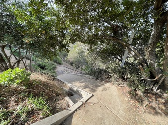 Enlarge photo 44