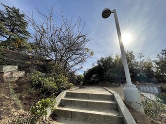 Enlarge photo 41