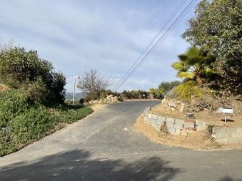 Enlarge photo 50