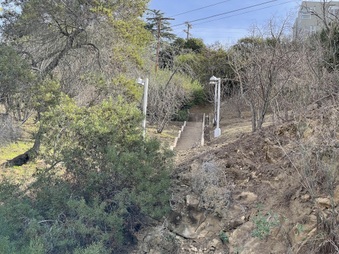 Enlarge photo 20