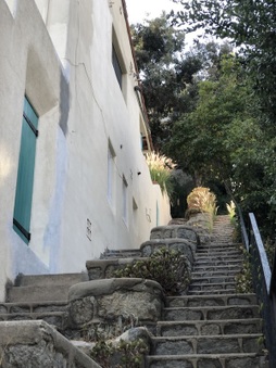 Enlarge photo 15