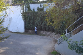 Enlarge photo 16