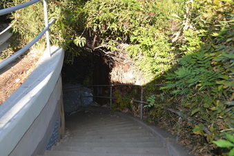 Enlarge photo 11