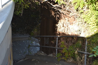 Enlarge photo 10