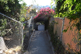Enlarge photo 30
