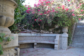Enlarge photo 24