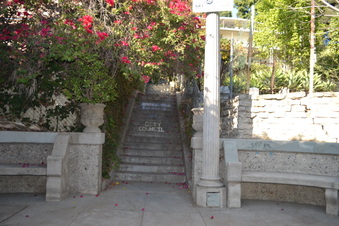 Enlarge photo 22