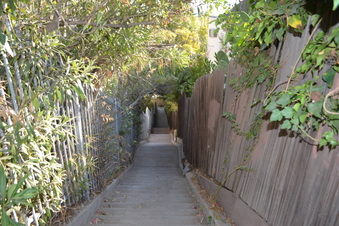 Enlarge photo 20