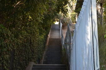 Enlarge photo 17