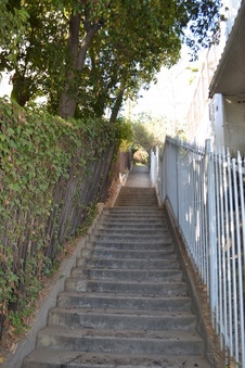 Enlarge photo 16