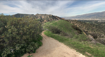 Enlarge photo 10