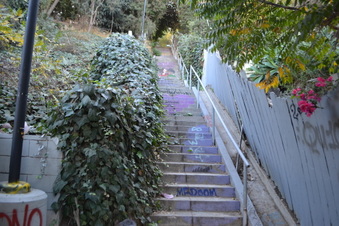 Enlarge photo 10