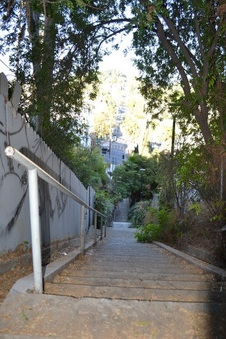 Enlarge photo 13