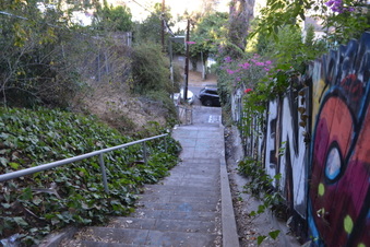 Enlarge photo 22