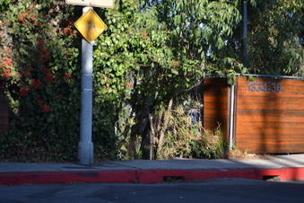 Enlarge photo 24