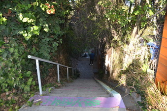 Enlarge photo 27