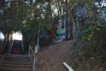 Enlarge photo 30