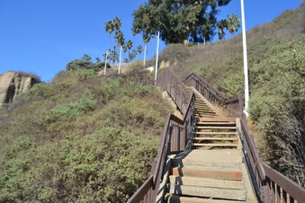 Enlarge photo 21