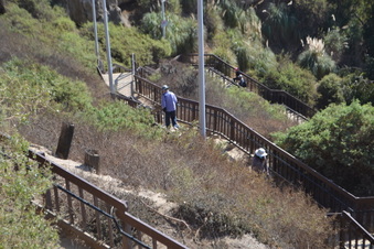 Enlarge photo 34