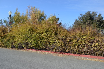 Enlarge photo 3