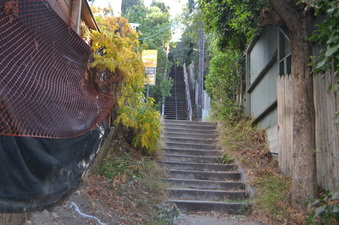 Enlarge photo 15