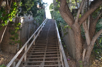 Enlarge photo 17