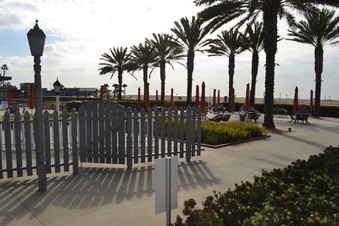 Enlarge photo 44