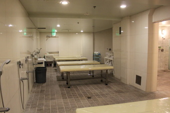 Enlarge photo 30