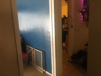 Enlarge photo 16