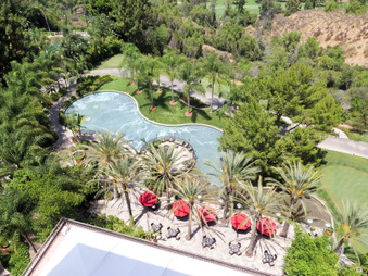 Pacific Palms