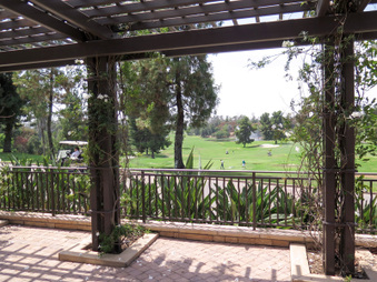 Enlarge photo 29