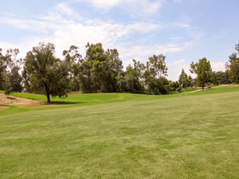 Enlarge photo 37